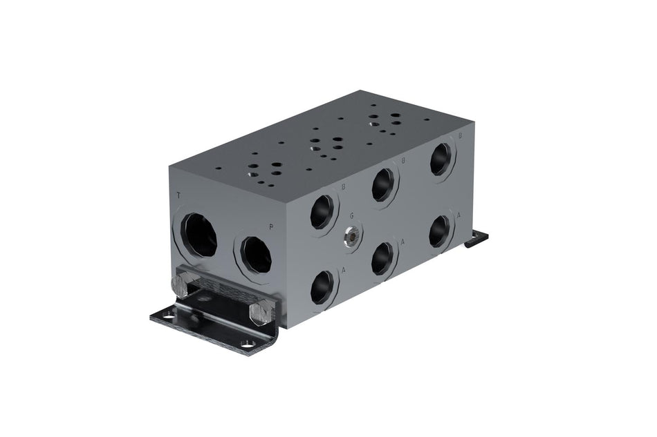 SP20,000 Manifold Assembly
